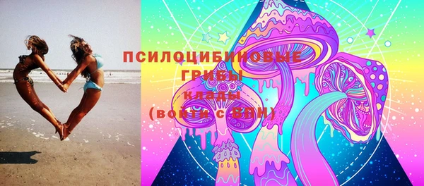 СК Аркадак
