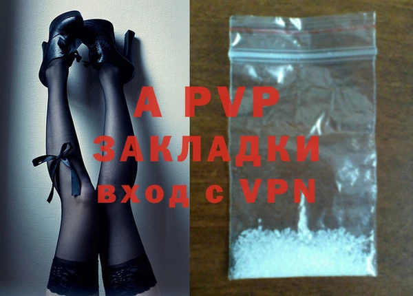 СК Аркадак